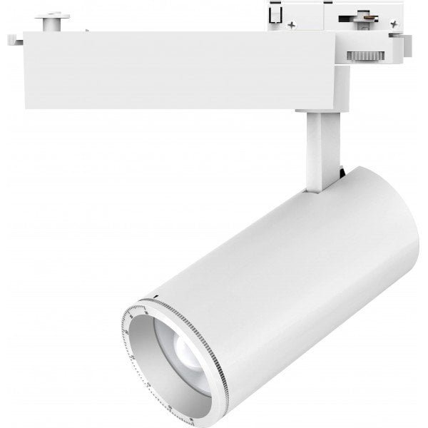 Zoomable Track Heads